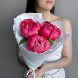 3 коралловых пиона