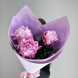 3 розовых пиона