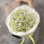 Букет из ромашек и гипсофилы — вид 4