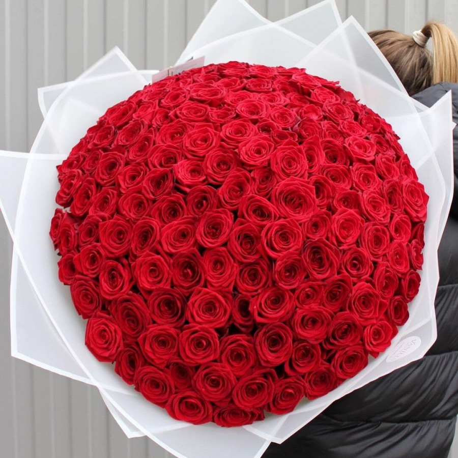 Букет из 151 красной розы